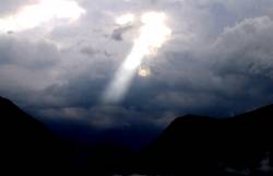 Suffocating In A Mantle Of Leaves : To Shade All the Colors of Despair Suffocating In A Mantle Of Leaves : To Shade All the Colors of Despair